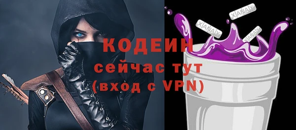 дживик Козельск