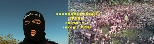 прущий лед Аркадак
