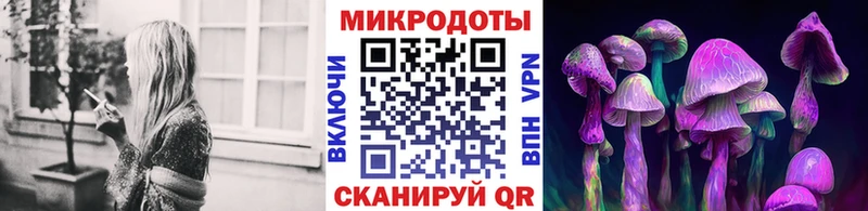 Псилоцибиновые грибы мухоморы  это телеграм  Аткарск  как найти закладки 